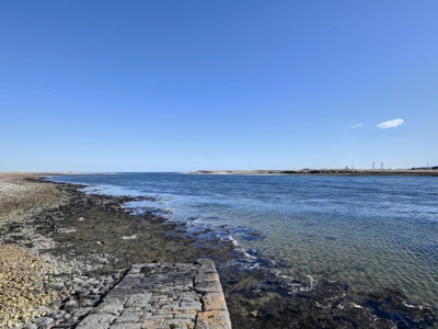 littleferry-1