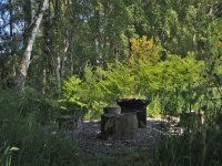 fire-pit-2