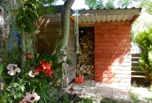 patio-1