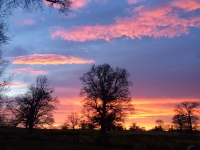 Sunset-pink-orange-January